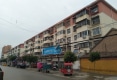 金平小区户型图实景图