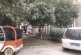 枫桥运河人家户型图实景图