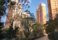 金座晟锦C区户型图实景图