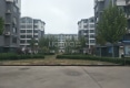 枣城圣泽苑B区户型图实景图