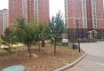 澋园户型图实景图