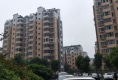 楚天小区户型图实景图