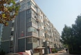 太平新村户型图实景图