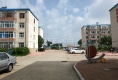 木材厂小区户型图实景图
