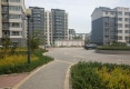 平原县北城社区户型图实景图