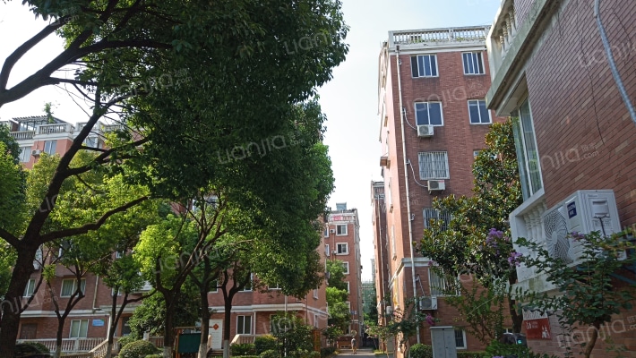 希望豪园外景图