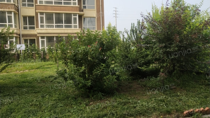 胜亚·东方红外景图