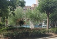 蘇州花園南区户型图实景图