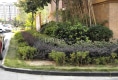 理想城户型图实景图