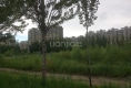 登峰家园居住区户型图实景图
