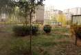 政泰户型图实景图