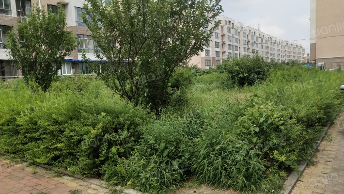 佳隆·千禧外景图