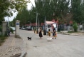 湖滨教师花园户型图实景图