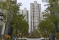 金座呈璟户型图实景图