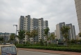 平原县北城社区户型图实景图