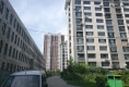 柏林春天户型图实景图