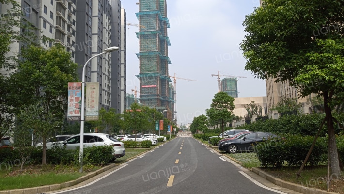 澄南花苑外景图