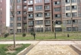 鹏鑫剑桥城户型图实景图
