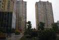 金玫瑰花苑户型图实景图