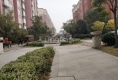 岸尚公馆户型图实景图