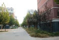 东城华府户型图实景图