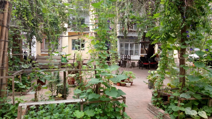 新华一区外景图