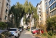 美丽家园户型图实景图