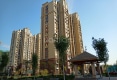 华信嘉苑户型图实景图
