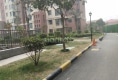 鹏鑫剑桥城户型图实景图