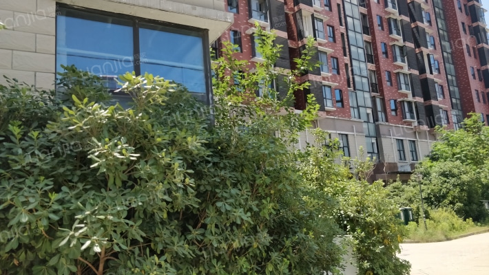 狮城公寓商住楼外景图