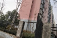 岸尚公馆户型图实景图