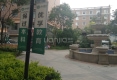 柏林春天户型图实景图