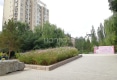 神华丽苑户型图实景图