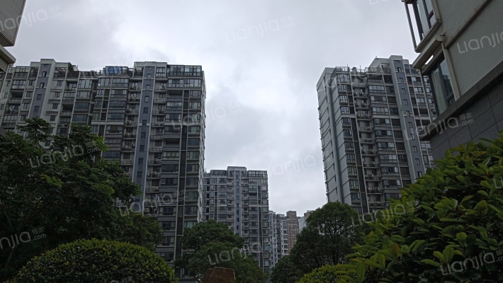 兴澄锦苑西区外景图