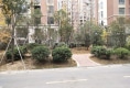 金地日煜城户型图实景图