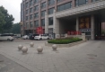 富景国际户型图实景图