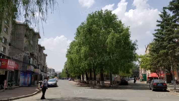 龙涤小区外景图