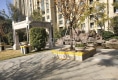 建业壹号城邦户型图实景图