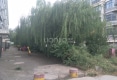 凯迪花园户型图实景图