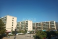 温州城户型图实景图