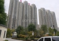 金座呈璟户型图实景图