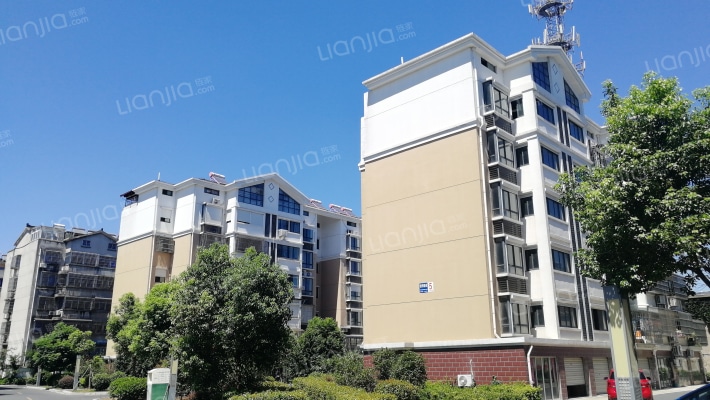 纺织新苑外景图