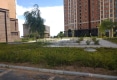 汀园户型图实景图