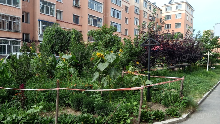 百丰嘉园外景图