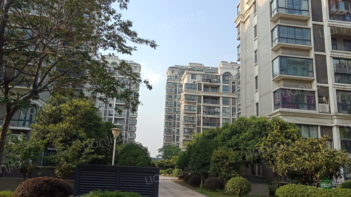 金湾丽景花苑外景图