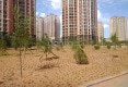 澋园户型图实景图