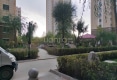 威隆太阳城户型图实景图