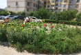 翠庭花园户型图实景图