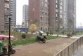 鹏鑫剑桥城户型图实景图