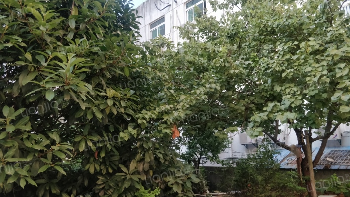 玉清小区外景图